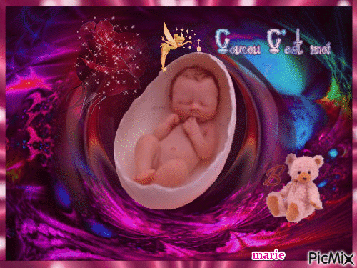 bébé dans sa coquille - GIF animado grátis