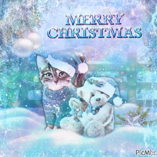 Christmas cat - Безплатен анимиран GIF