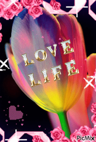 LOVE LIFE - Бесплатный анимированный гифка