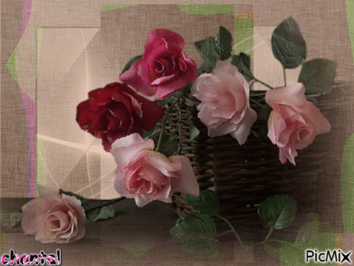 belle image - Bezmaksas animēts GIF