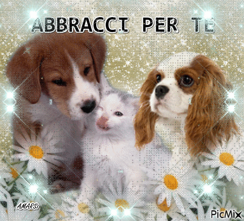 ABBRACCI PER TE - 無料のアニメーション GIF