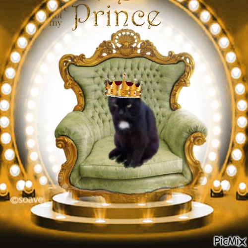 Prince Zivko - darmowe png