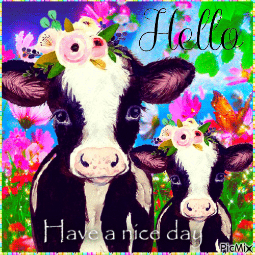 Cute Cows - Free animated GIF