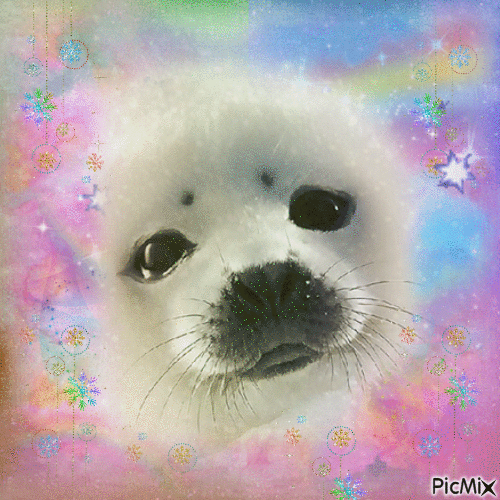 seal - 免费动画 GIF