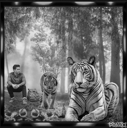 El hombre con los tigeres - Zdarma animovaný GIF