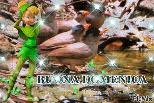 BUONA DOMENICA - Nemokamas animacinis gif