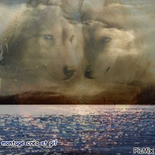 loups lac - Besplatni animirani GIF