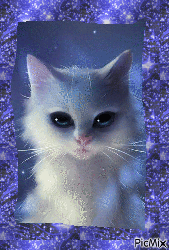 Blue cat - Free animated GIF