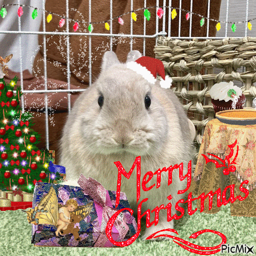 Merry christmas rabbit - GIF เคลื่อนไหวฟรี