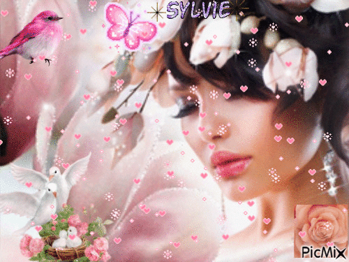 beauty queen ma création a partager sylvie - 免费动画 GIF
