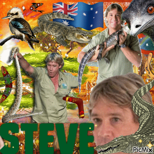Steve Irwin - Бесплатный анимированный гифка