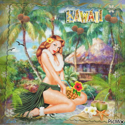 Hawaii - GIF animado grátis