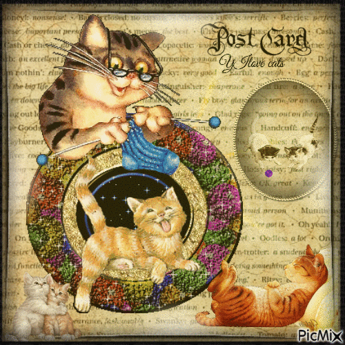 Post Card Cats - Ingyenes animált GIF
