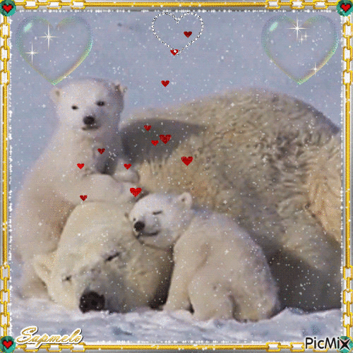 urso e filhotes - Ingyenes animált GIF