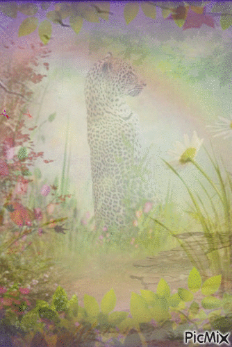 Wild nature - Besplatni animirani GIF