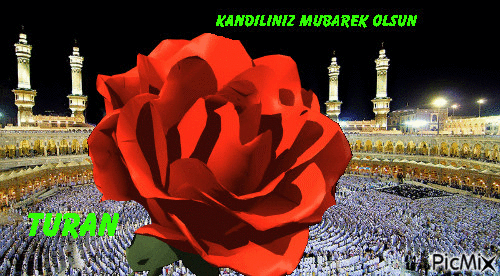 KANDİLİ - Bezmaksas animēts GIF