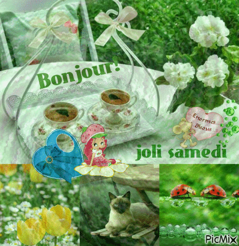 bonjour joli samedi - Бесплатный анимированный гифка