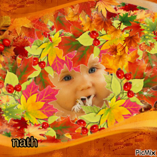 Le visage d'un bébé et les feuilles d'automne,concours - Gratis animerad GIF