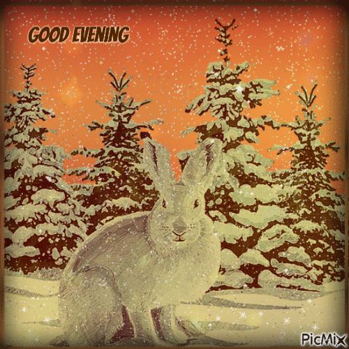Good Evening - 無料のアニメーション GIF