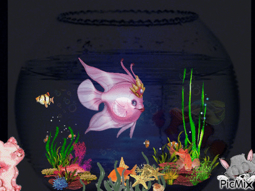 Aquarium - Безплатен анимиран GIF