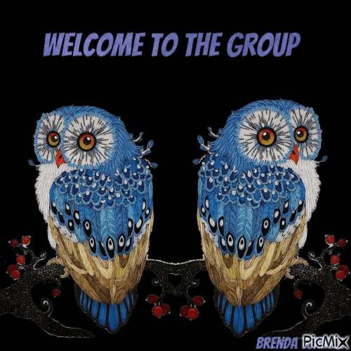 Welcome owl - zdarma png