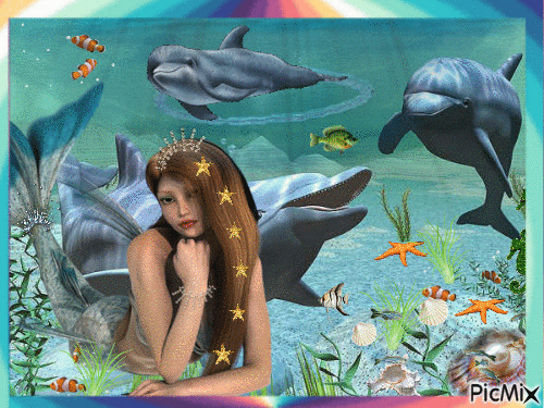 jugando con los delfines... - Ücretsiz animasyonlu GIF