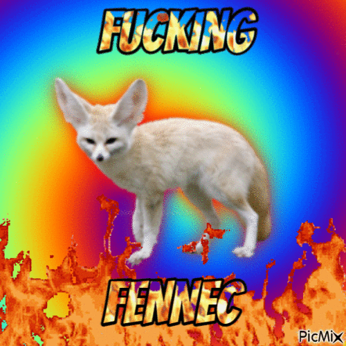FUCKING FENNEC - Animovaný GIF zadarmo