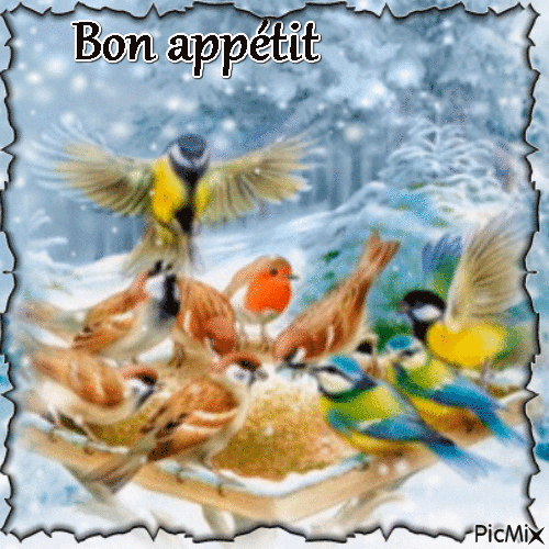 Mangeoire à oiseaux - Бесплатный анимированный гифка