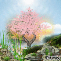 arbre - Zdarma animovaný GIF