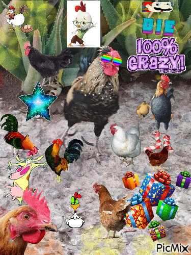 my chicken - GIF animado gratis