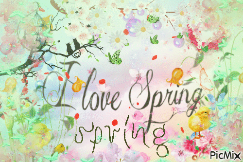 Spring.  🙂🌼 - GIF animado gratis