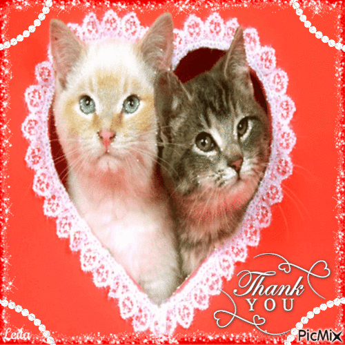Thank You, dear friend. Cats. Love - Nemokamas animacinis gif