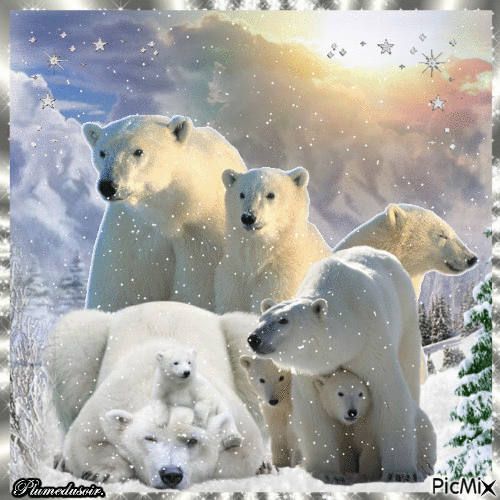 Ours polaires en famille. - GIF animé gratuit