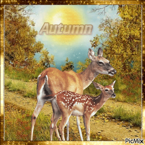 Herbstmorgen am Waldrand - Безплатен анимиран GIF