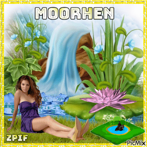 Moorhen - Besplatni animirani GIF