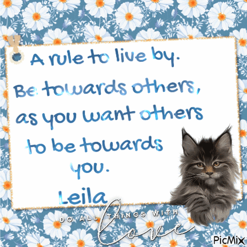 A rule to live by. Leila - 免费动画 GIF