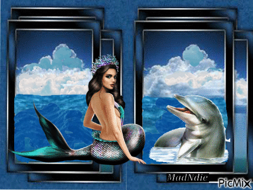 la sirène et le dauphin - GIF animé gratuit