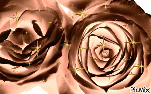 Rosen - Bezmaksas animēts GIF