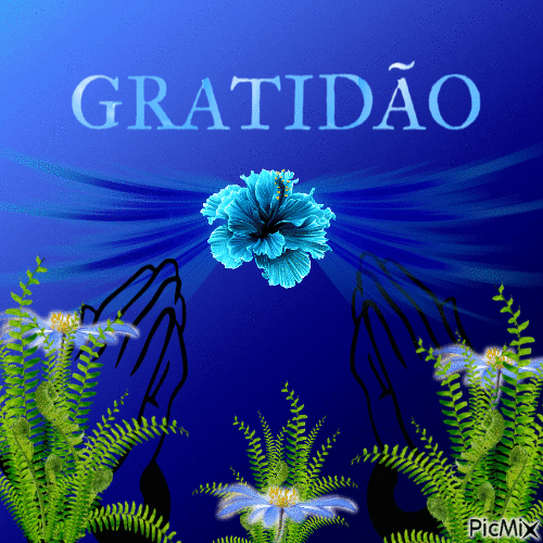 GRATIDÃO - Бесплатный анимированный гифка