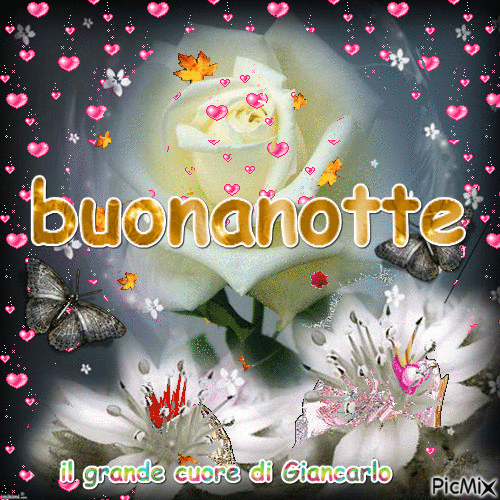 BUONANOTTE - 無料のアニメーション GIF