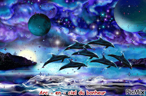 les dauphins - Zdarma animovaný GIF