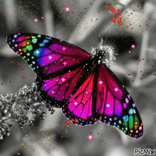 Mariposa bella - GIF animado grátis