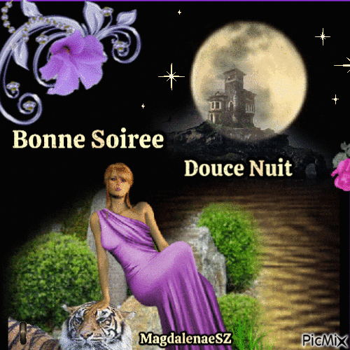 BONNE SOIREE - Бесплатный анимированный гифка