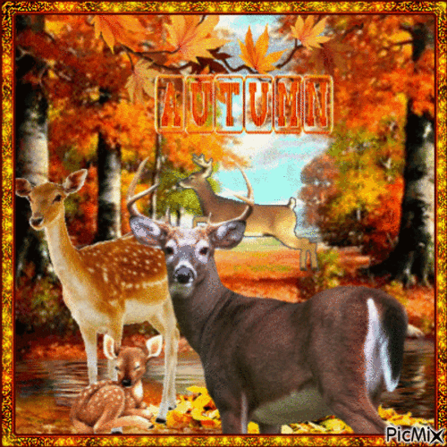 Autumn Forest Animals - Бесплатный анимированный гифка