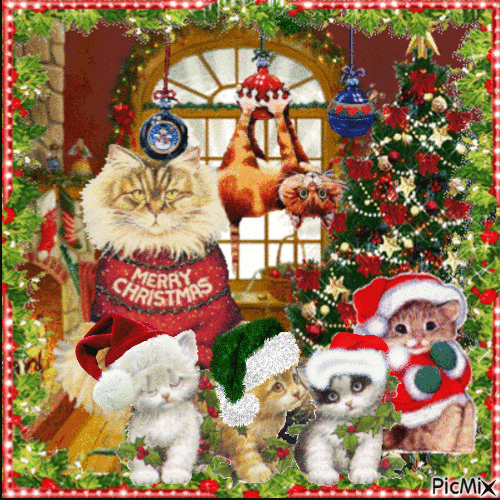 Christmas cats - Δωρεάν κινούμενο GIF