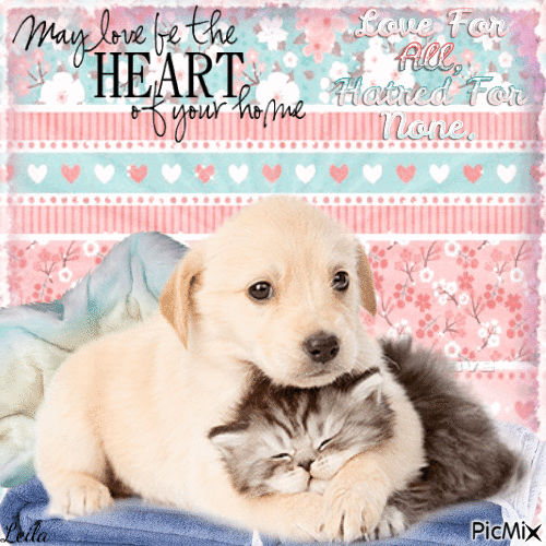Puppy and kitten. Love for All, hatred for None - Безплатен анимиран GIF