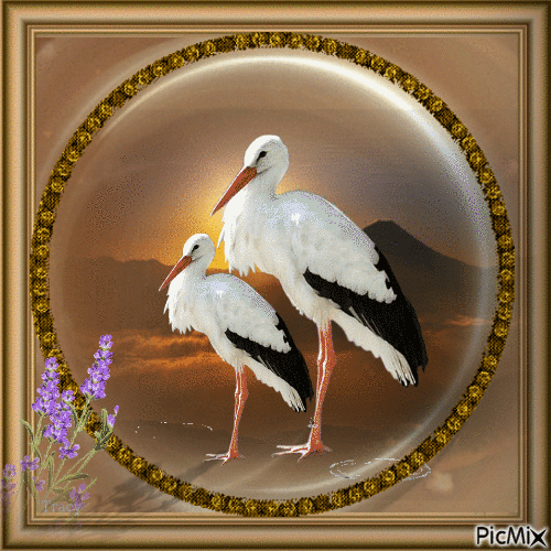 Stork family - Безплатен анимиран GIF