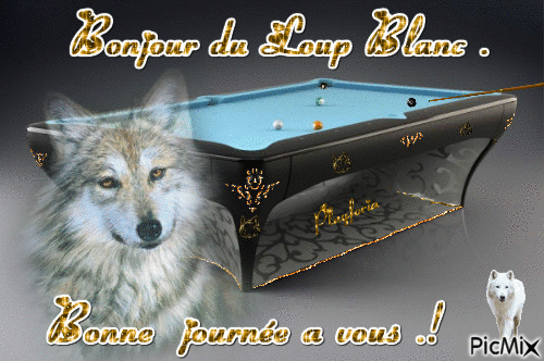 Bonjour du loup blanc ! - Бесплатни анимирани ГИФ