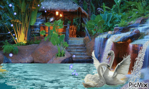 swans - Ilmainen animoitu GIF