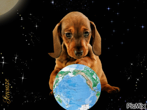 Wordly puppy :) - Free animated GIF